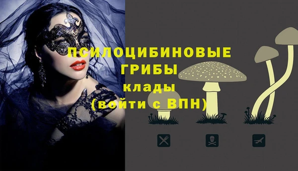 крисы Алексеевка
