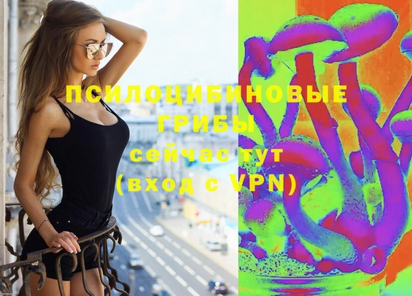 крисы Алексеевка