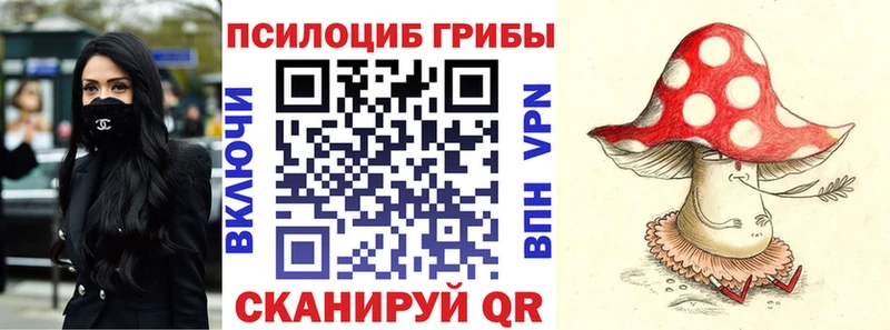 mega зеркало  Переславль-Залесский  Псилоцибиновые грибы Psilocybe 