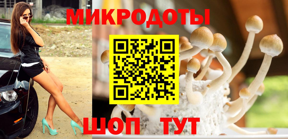 Переславль-Залесский  Галлюциногенные грибы Cubensis  где найти наркотики  Вход с VPN 