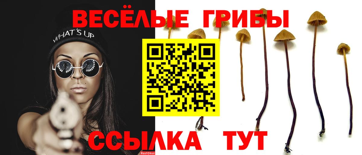 Псилоцибиновые грибы мухоморы Переславль-Залесский